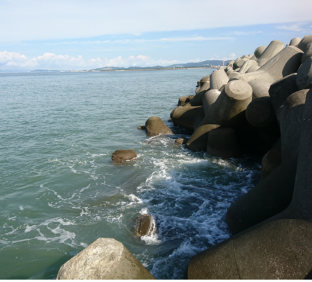 水軒テトラでタチウオ