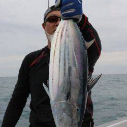 へいみつ丸 釣果