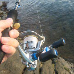 舞鶴アオリイカ目指せ爆釣隊