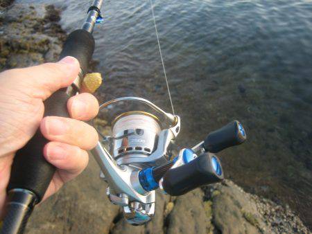 舞鶴アオリイカ目指せ爆釣隊