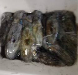 今日は蒸し暑かった。