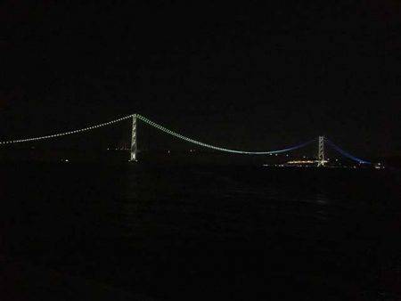 そろそろ終盤の明石ケンサキイカ