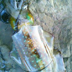 渋ッいなかなんとかツ抜け～！