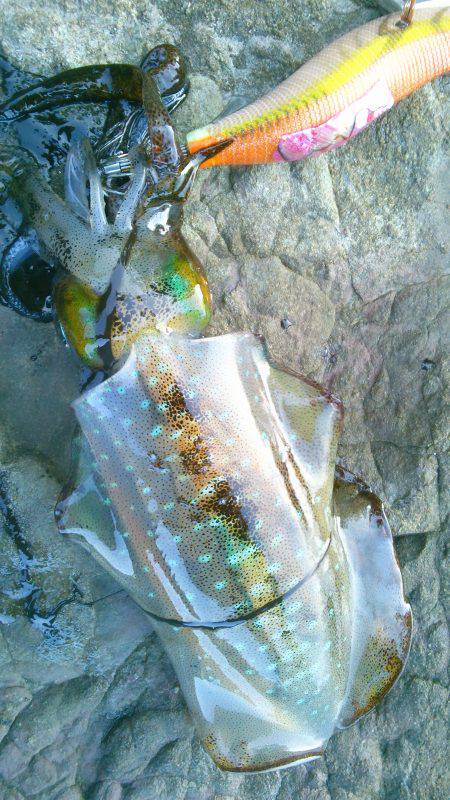 渋ッいなかなんとかツ抜け～！