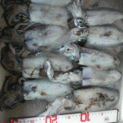 雨　雨　あがれ！