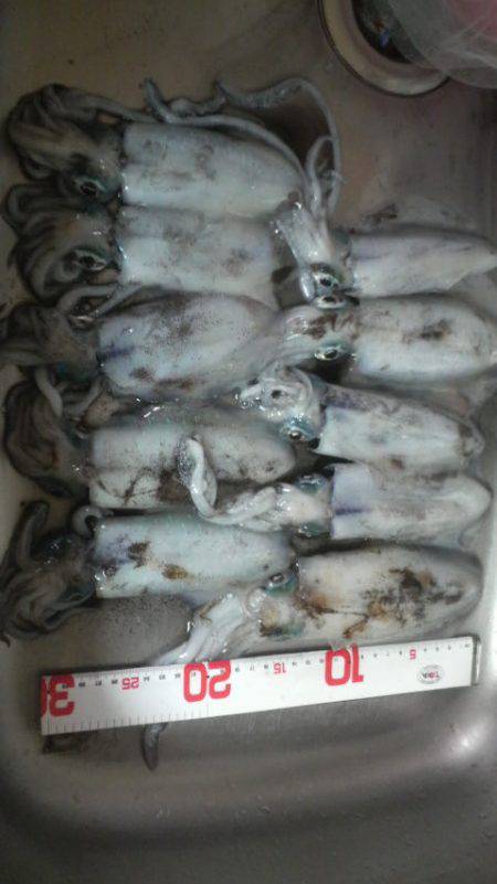 雨　雨　あがれ！