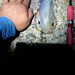 雨上がりの貸し切りの海