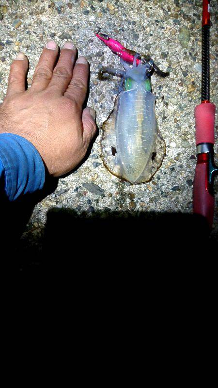 雨上がりの貸し切りの海