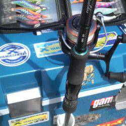 アオリイカ　＜　エギ