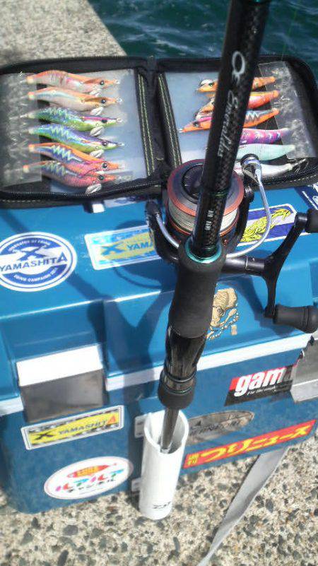 アオリイカ　＜　エギ