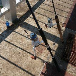 ダブル尺アジ！