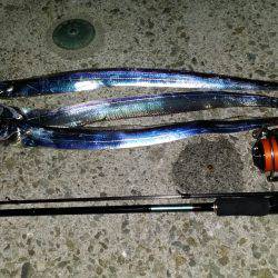 サクッと太刀魚