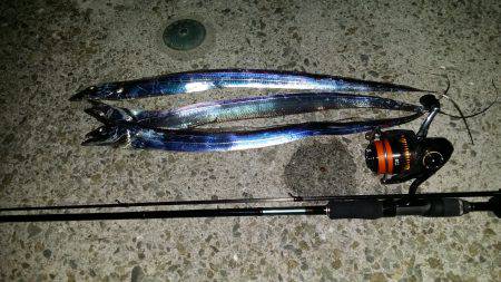 サクッと太刀魚