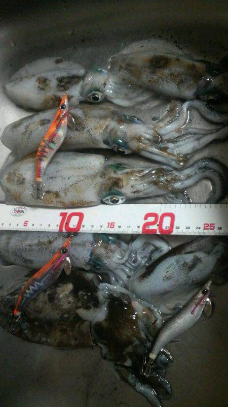 コウちゃんBINGO