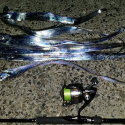 太刀魚は好調です