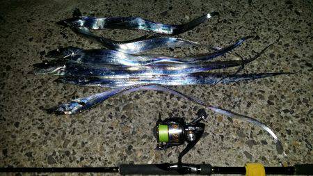 太刀魚は好調です