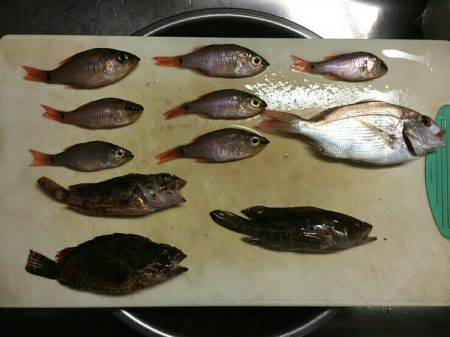 三重南部釣（調）査 2回目