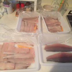 爆風爆波(^_^;)だけど入れパク( ^ω^ )