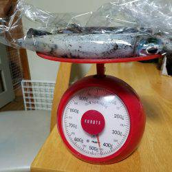 ウキウキエギング釣行♪