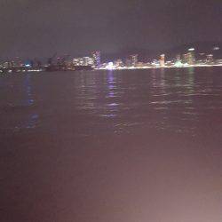 ワインドジャンキー引退します。