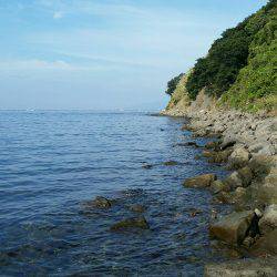 休日のエギング