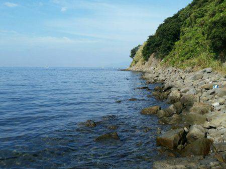 休日のエギング