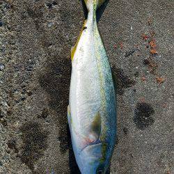 またまた、兵庫突定♪(笑)