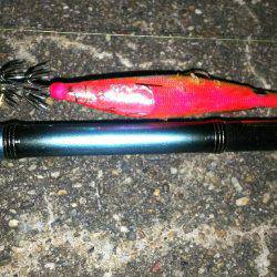 お持ち帰りサイズ❗️