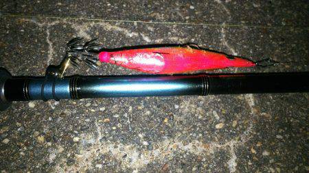 お持ち帰りサイズ❗️