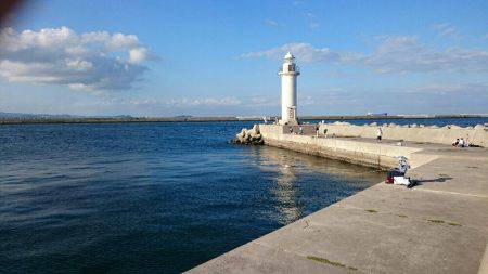 届かないナブラ