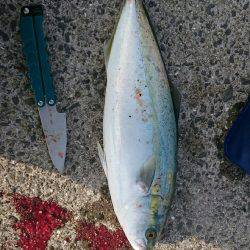 炸裂小太刀狩り‼