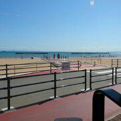 台風一過のアジングは高活性でした。