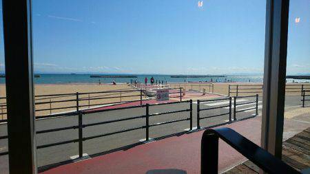 台風一過のアジングは高活性でした。