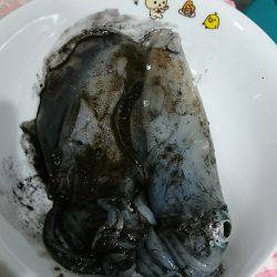 サイズがよくなってきましたね♪