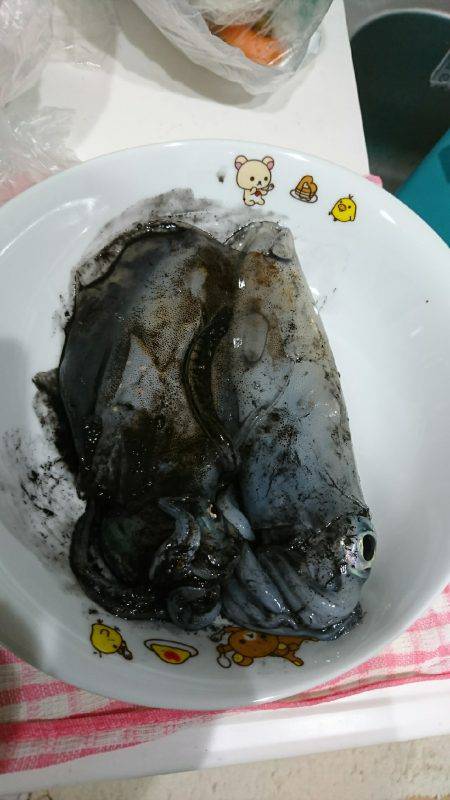 サイズがよくなってきましたね♪