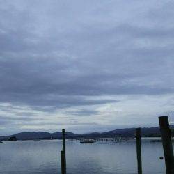 久美浜かかり釣り