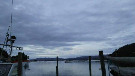 久美浜かかり釣り