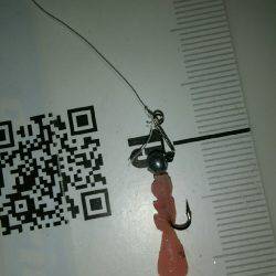 秋の夜長にナイトアジングはいかが？(笑)