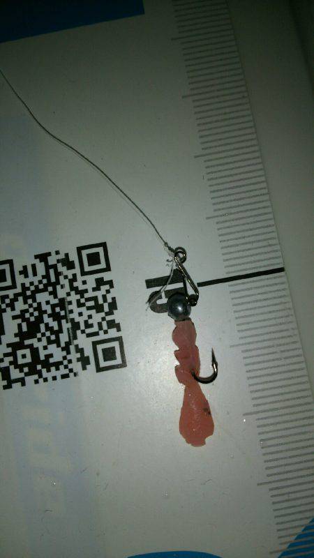 秋の夜長にナイトアジングはいかが？(笑)