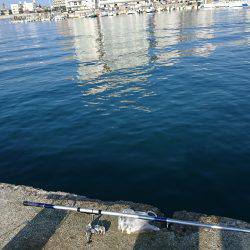 子供とファミリーフィッシング♪