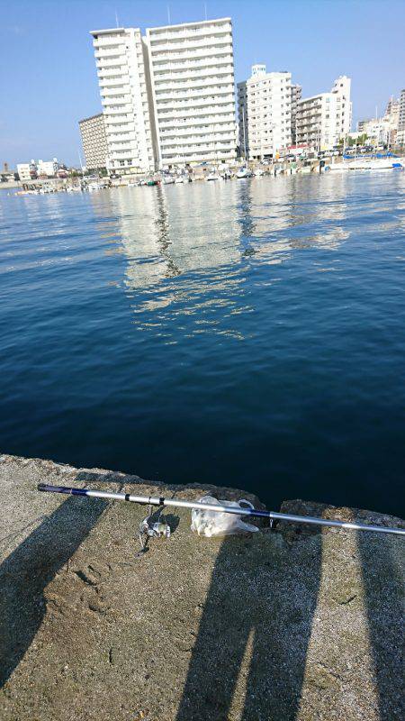 子供とファミリーフィッシング♪