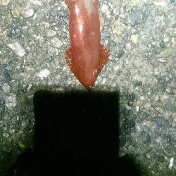 やはり雨の日は人が少ない