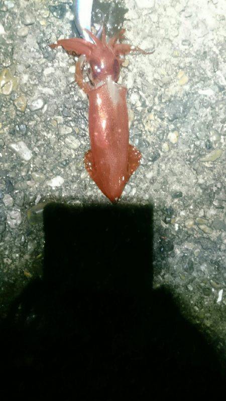 やはり雨の日は人が少ない