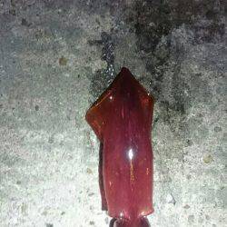 台風前に何とか。