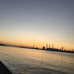 ふれーゆ、アジング！