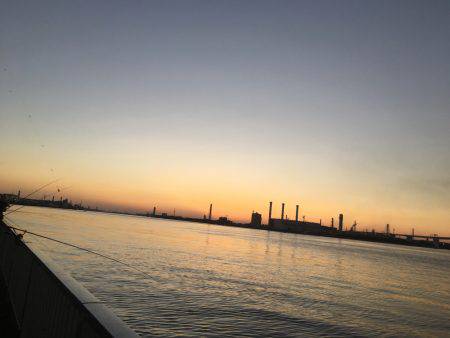 ふれーゆ、アジング！