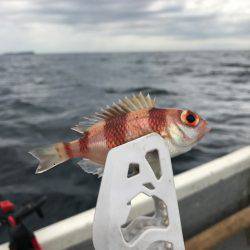 伊東でボート！