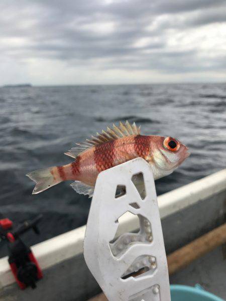 伊東でボート！