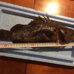 久々の白杉・・・