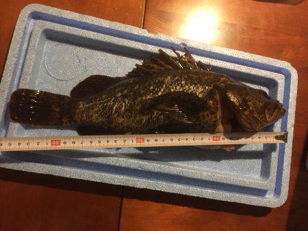 久々の白杉・・・